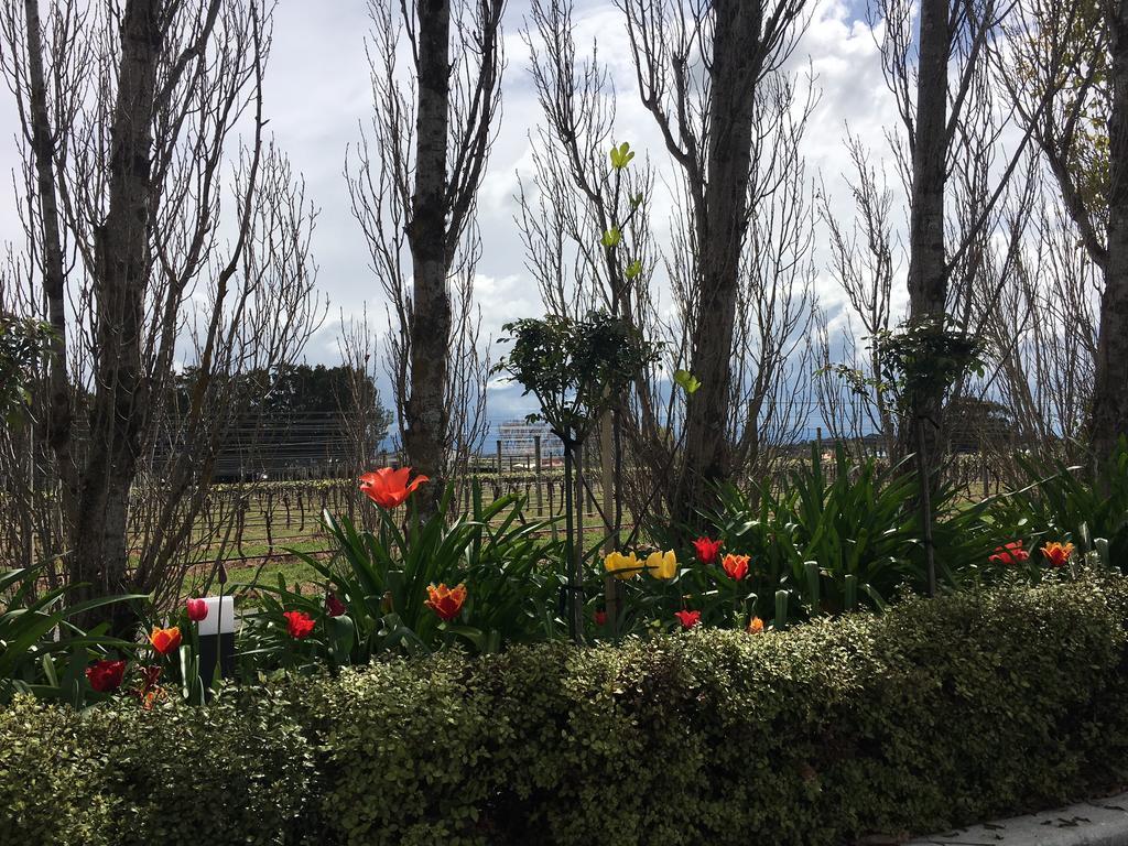 Aylstone Martinborough Hotel Buitenkant foto