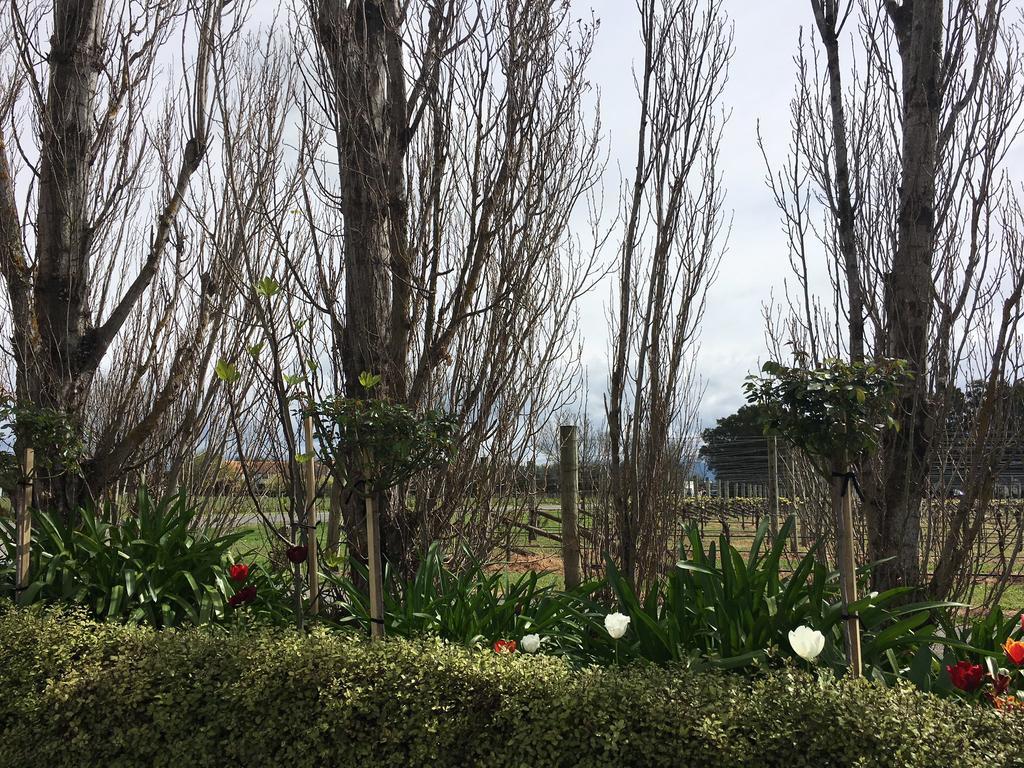 Aylstone Martinborough Hotel Buitenkant foto