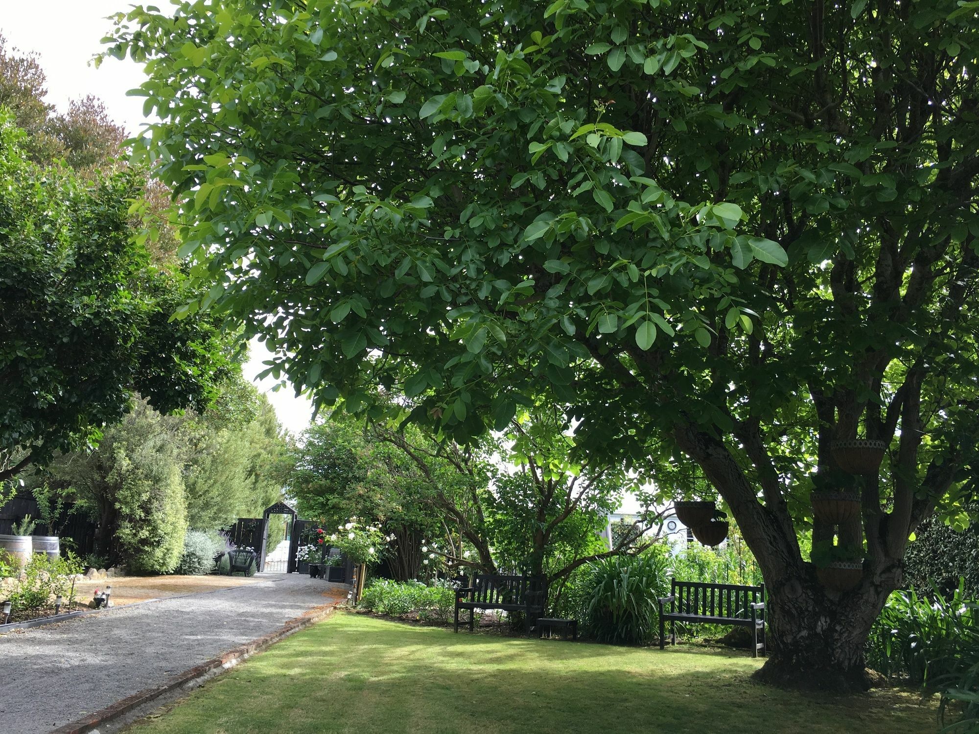 Aylstone Martinborough Hotel Buitenkant foto