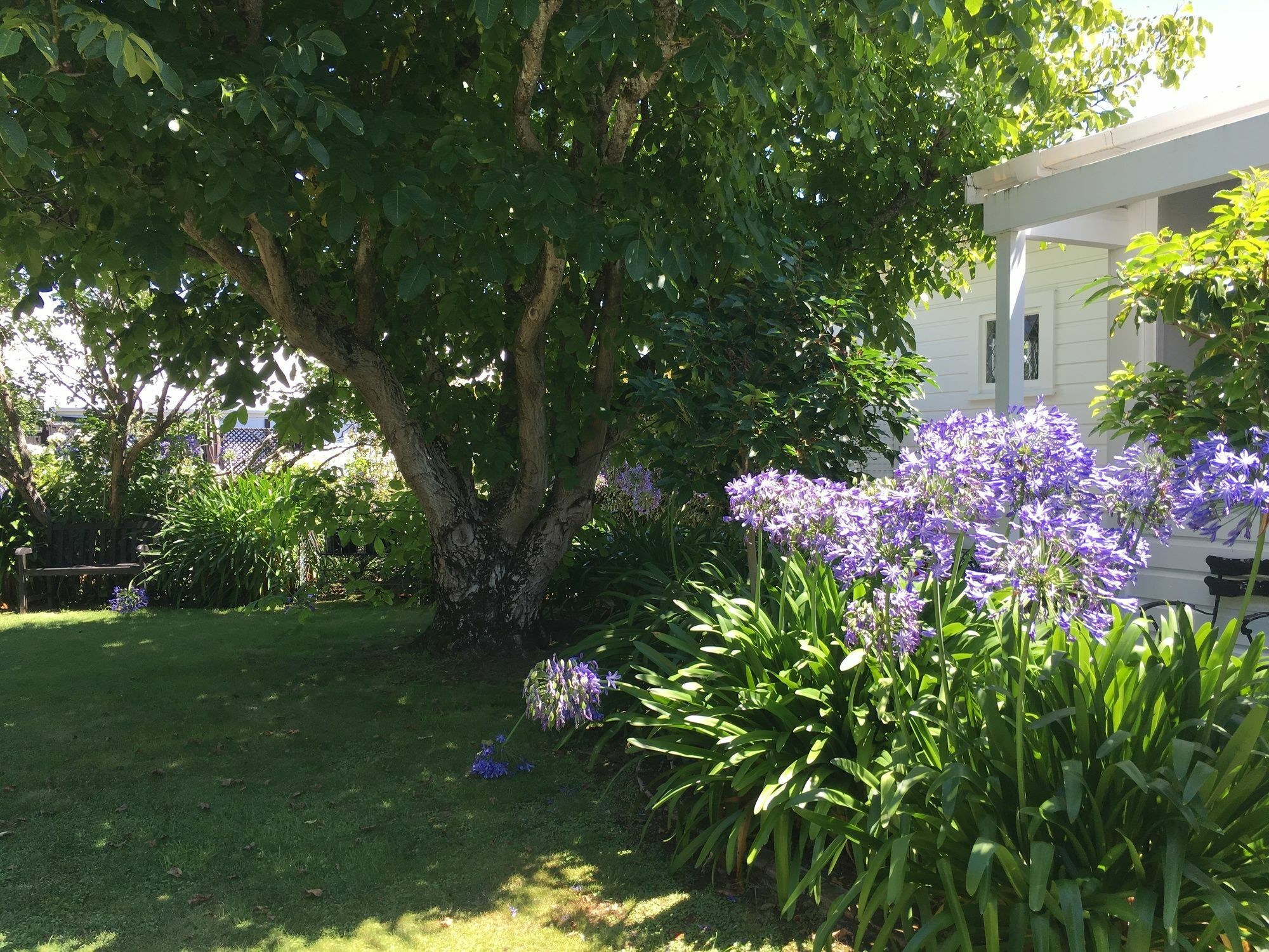 Aylstone Martinborough Hotel Buitenkant foto